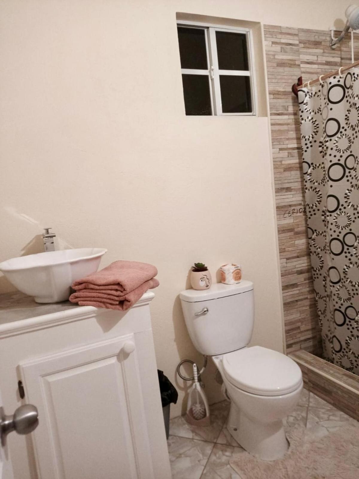 Castle Berry Apartments كينغستاون المظهر الخارجي الصورة