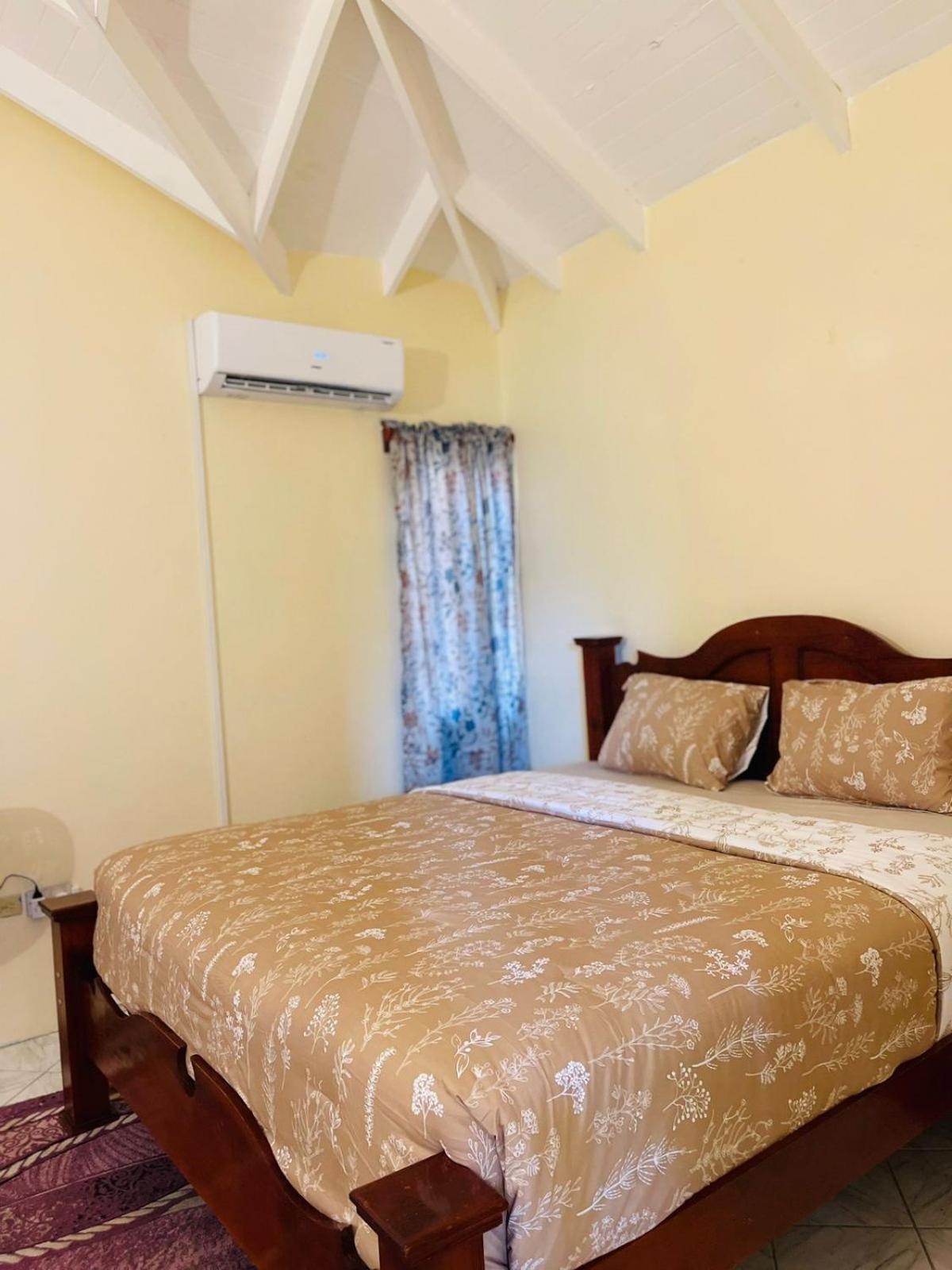 Castle Berry Apartments كينغستاون المظهر الخارجي الصورة